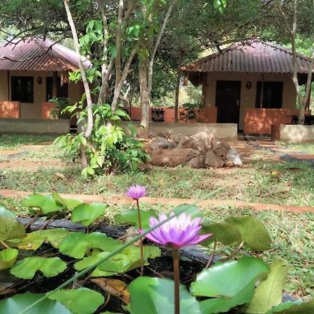Hotel Niyagala Lodge Sigiriya Eksteriør billede