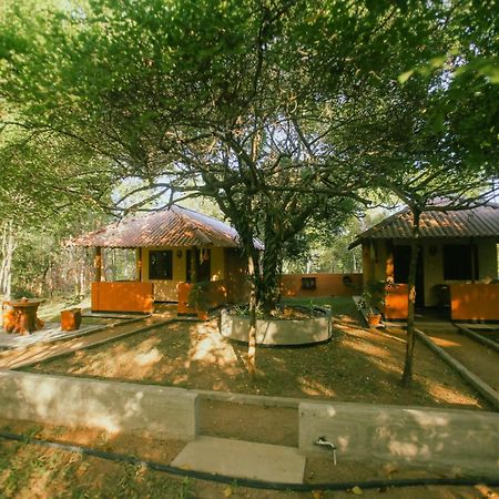 Niyagala Lodge Sigiriya Eksteriør billede