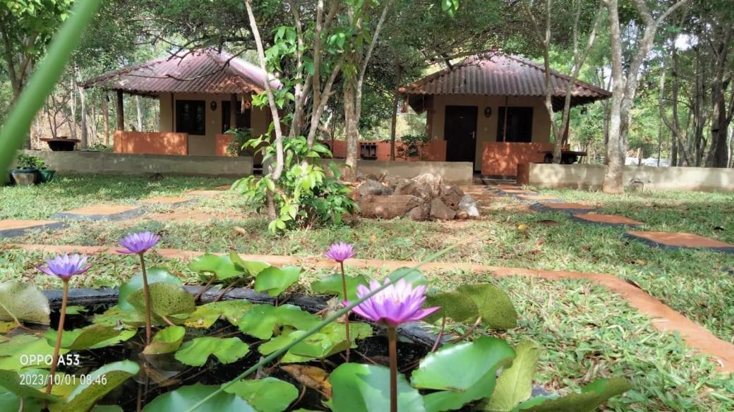 Hotel Niyagala Lodge Sigiriya Eksteriør billede