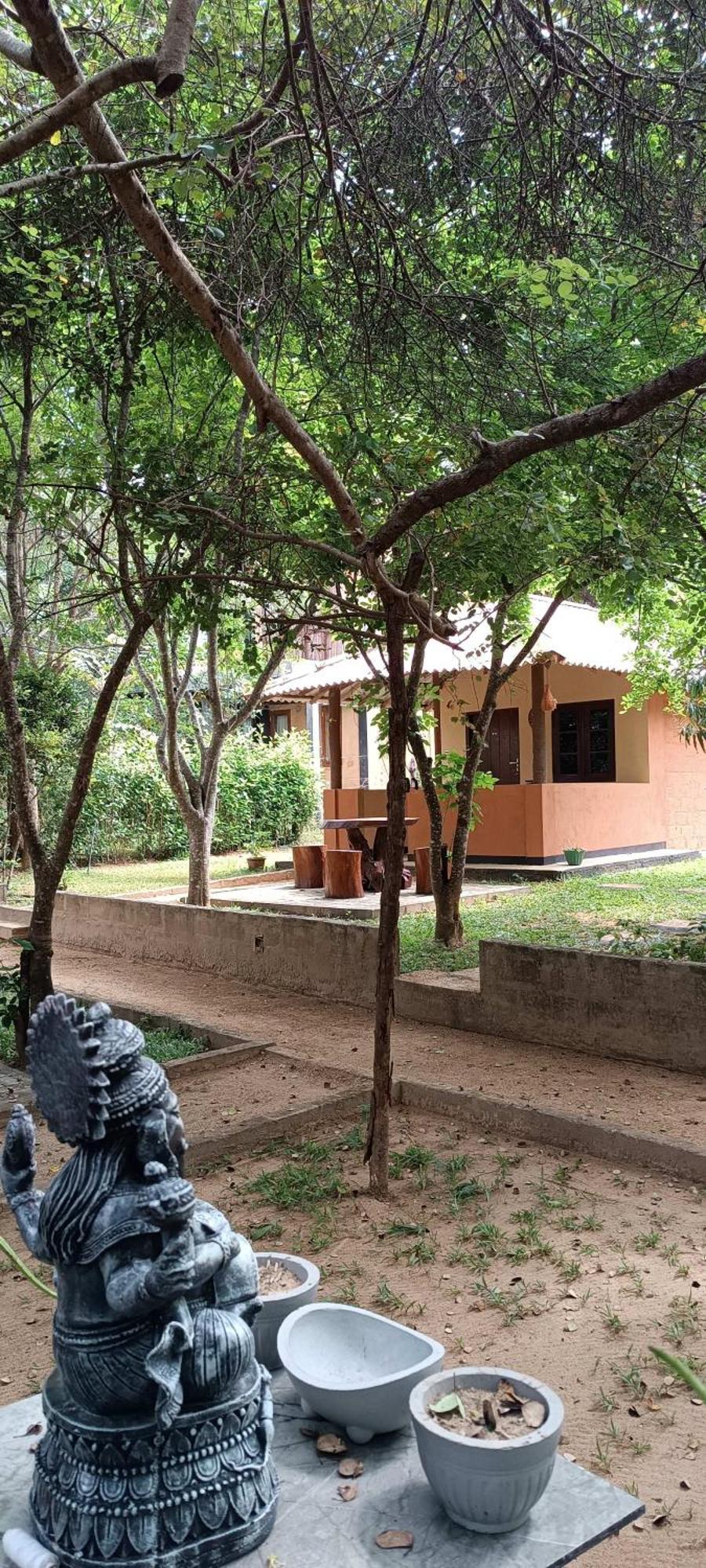Hotel Niyagala Lodge Sigiriya Eksteriør billede