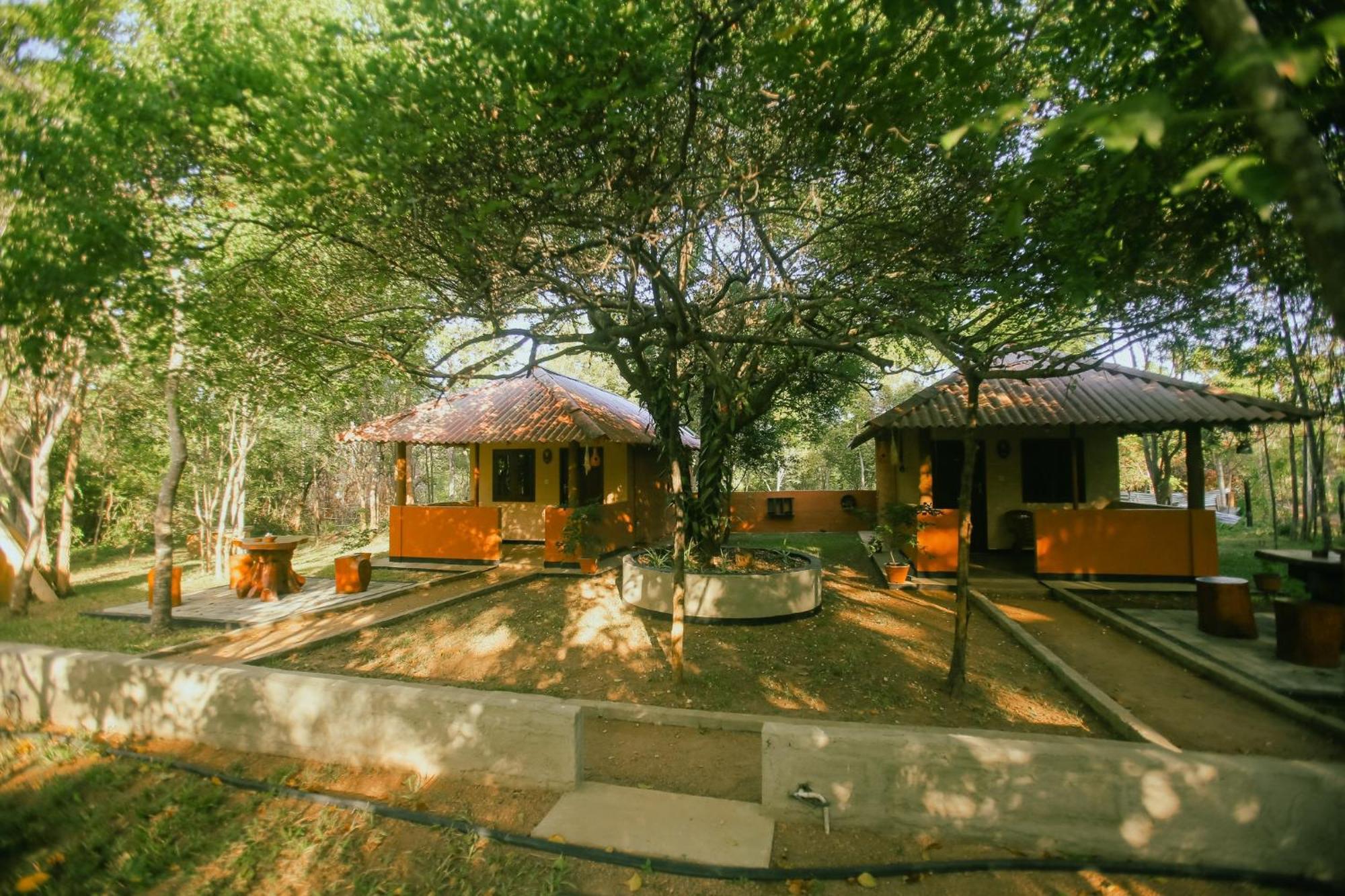 Hotel Niyagala Lodge Sigiriya Eksteriør billede