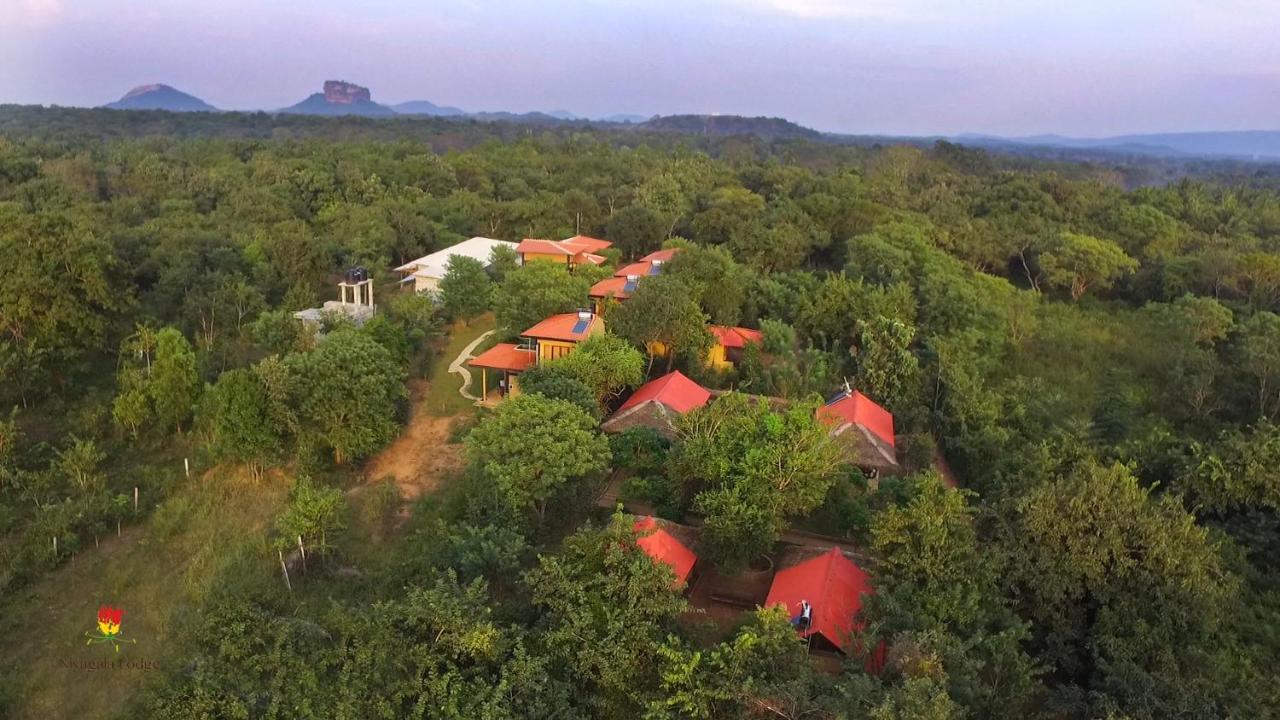 Hotel Niyagala Lodge Sigiriya Eksteriør billede