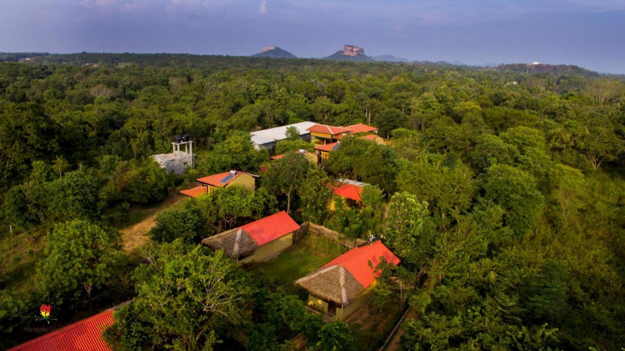 Hotel Niyagala Lodge Sigiriya Eksteriør billede
