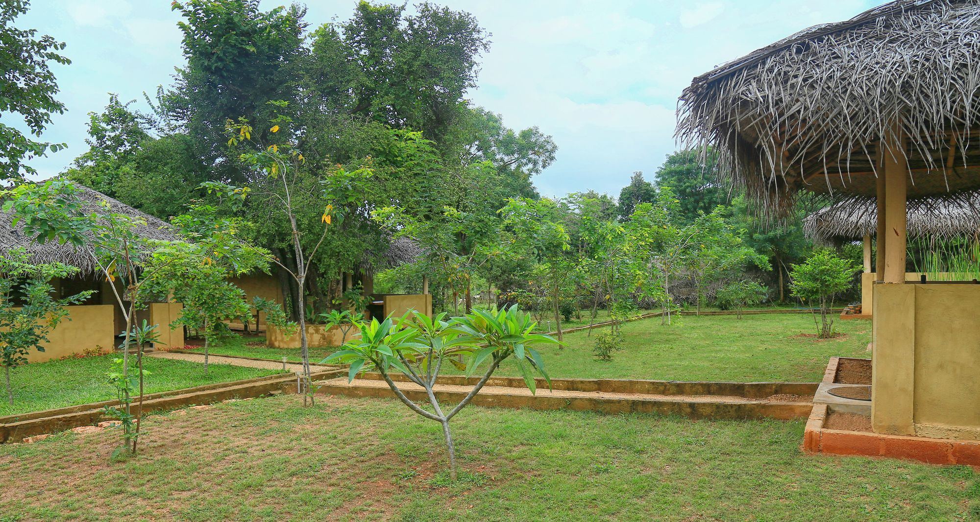 Hotel Niyagala Lodge Sigiriya Eksteriør billede