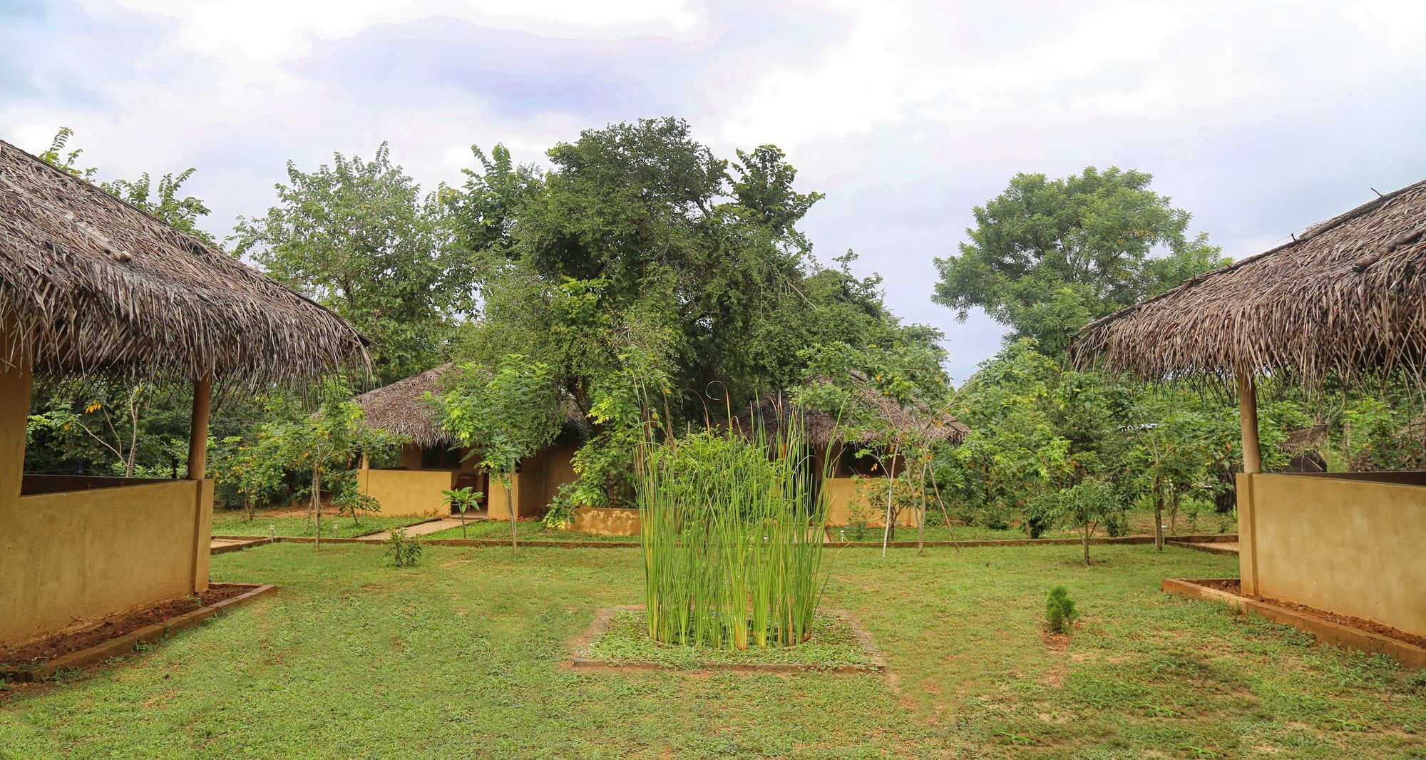 Hotel Niyagala Lodge Sigiriya Eksteriør billede